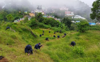 बृक्षारोपण अभियानमा प्रहरी